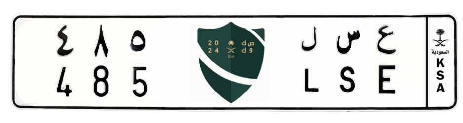 لوحة ع س ل 485